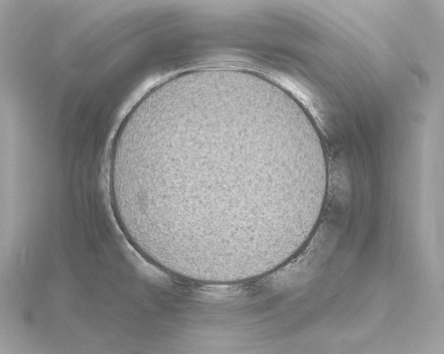 X0000115061478200912071141