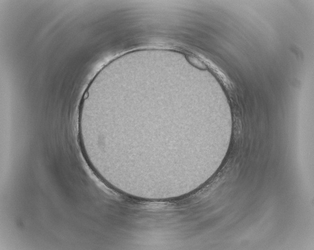 X0000115061479200912071141