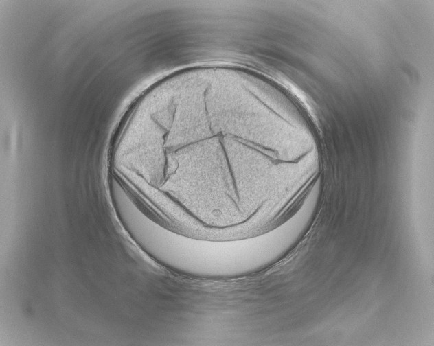 X0000115061480200912071141