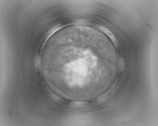 X0000115061481200912071141