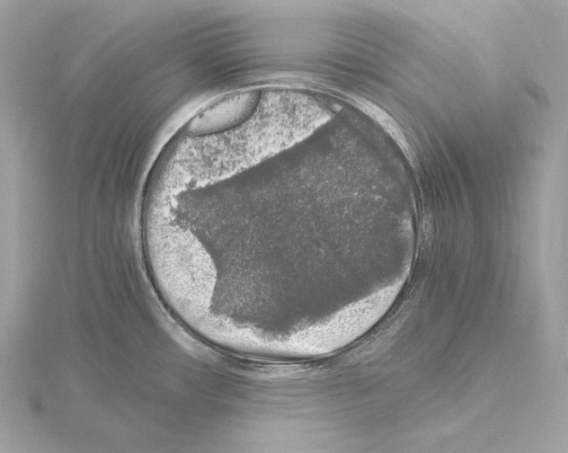 X0000115061482200912071141