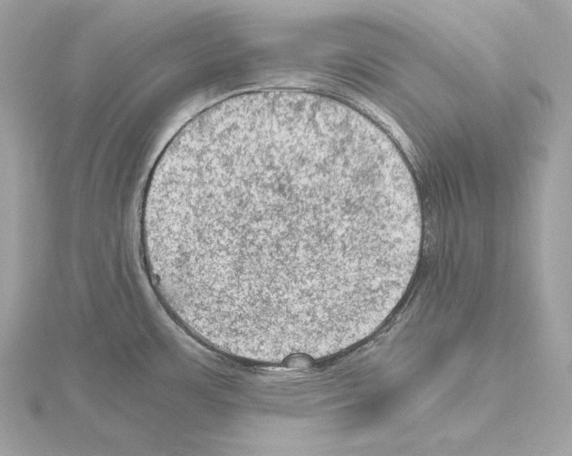 X0000115061483200912071141