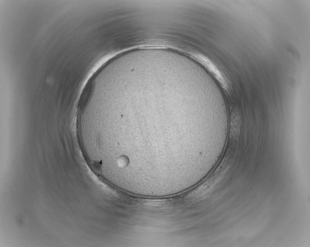 X0000115061484200912071141