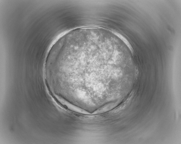 X0000115061485200912071141