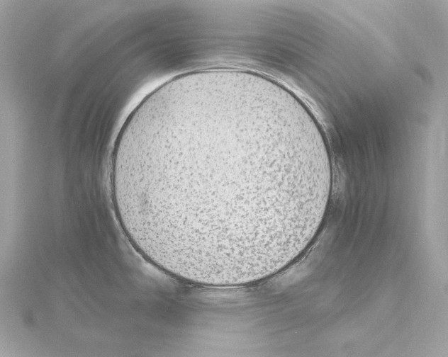 X0000115061486200912071141