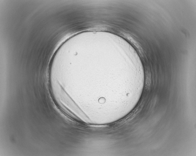 X0000115061487200912071141