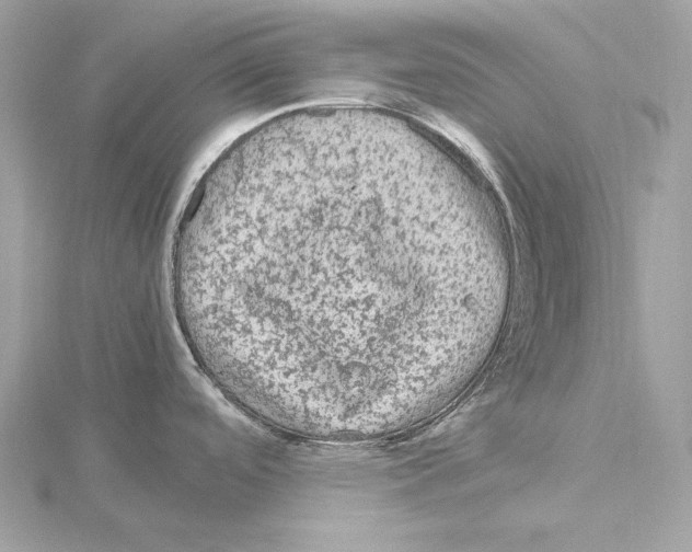 X0000115061488200912071141