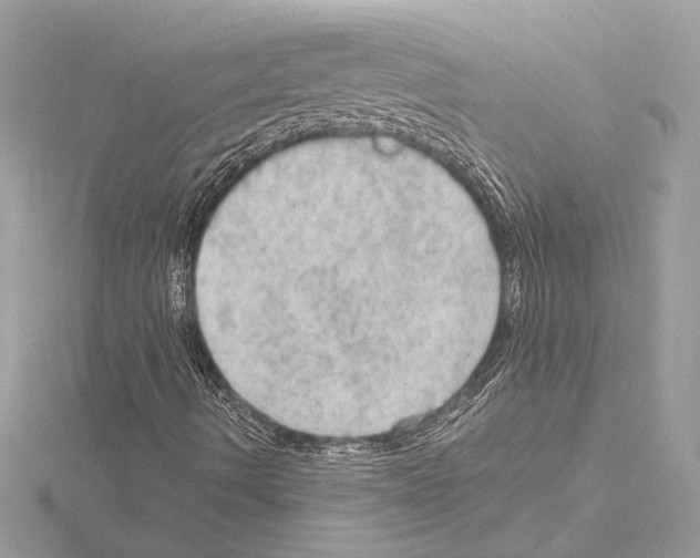 X0000115061490200912071140