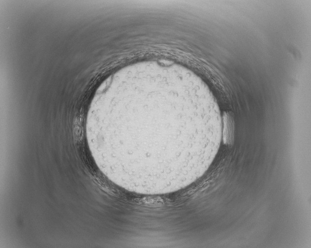 X0000115061491200912071140