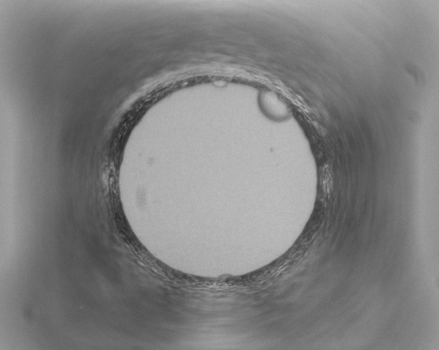 X0000115061495200912071140