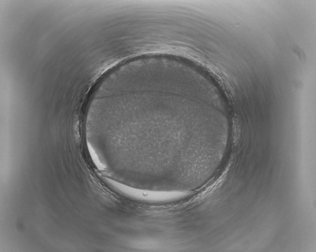 X0000115061497200912071140