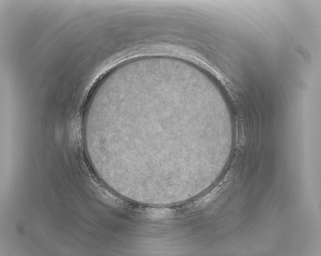 X0000115061498200912071140