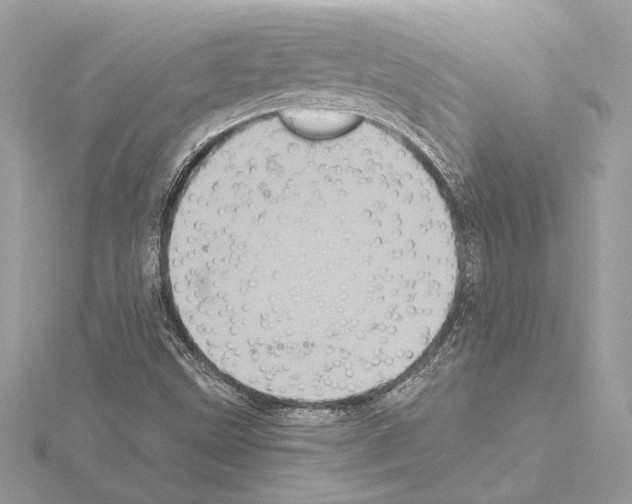 X0000115061499200912071140