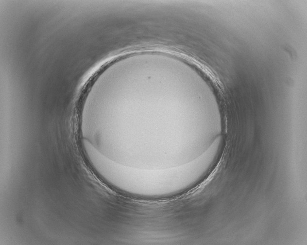 X0000115061502200912071140