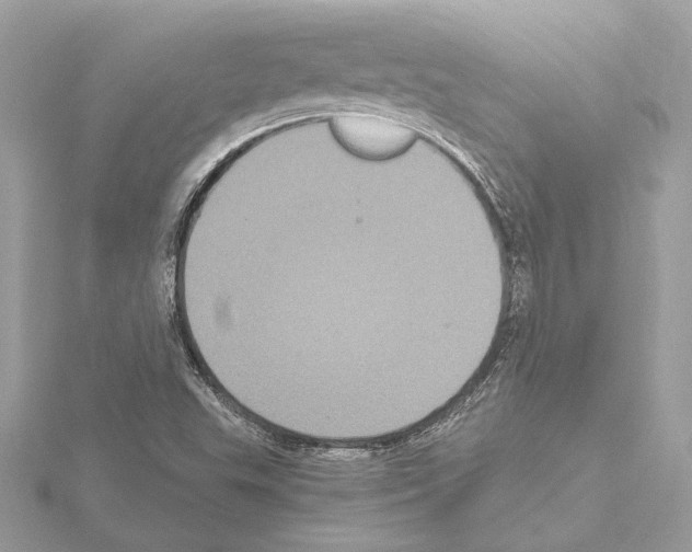 X0000115061503200912071140