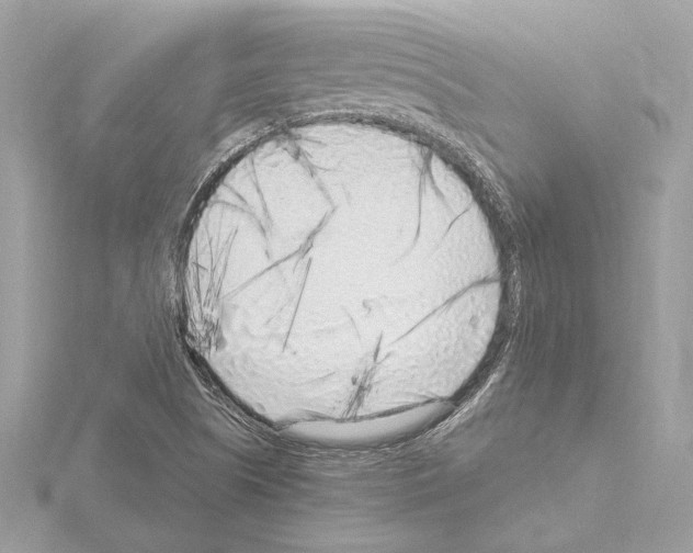 X0000115061505200912071140