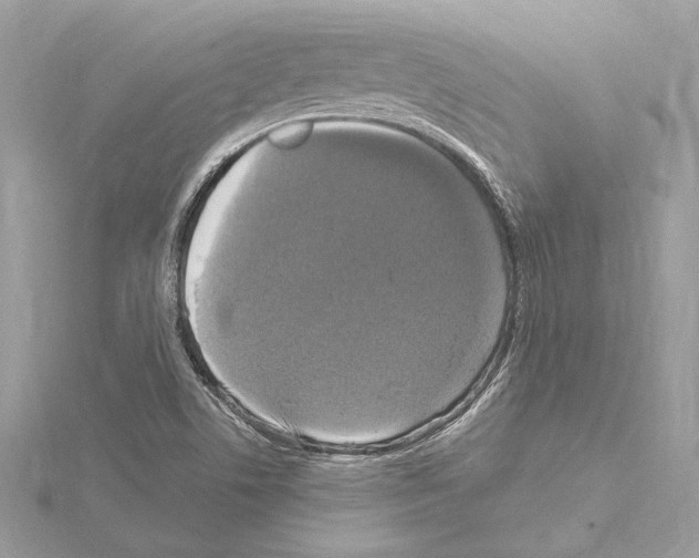 X0000115061506200912071140