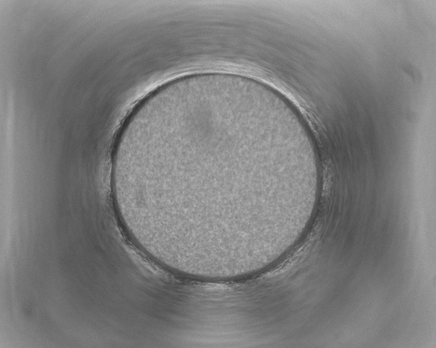 X0000115061507200912071140