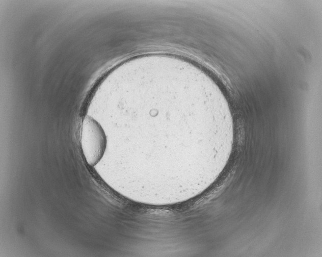 X0000115061509200912071140