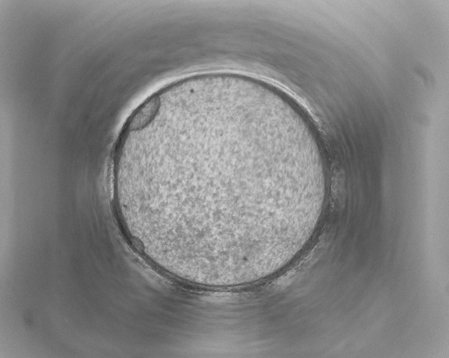 X0000115061510200912071140