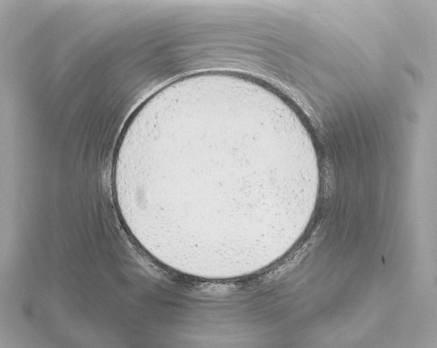 X0000115061513200912071141