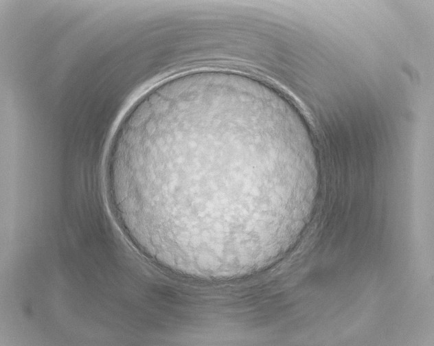 X0000115061514200912071141