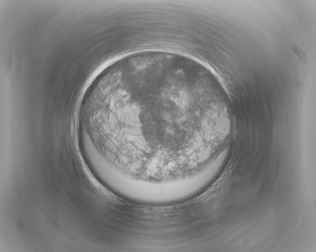 X0000115061515200912071141