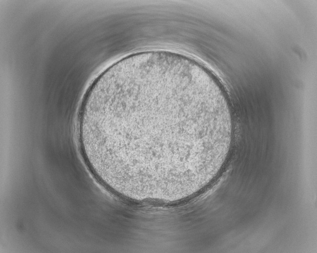 X0000115061517200912071141