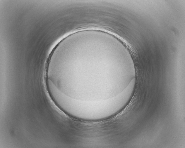 X0000115061518200912071141