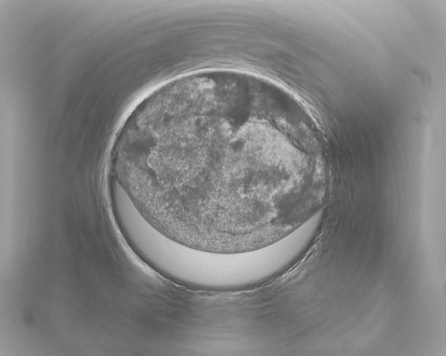 X0000115061519200912071141