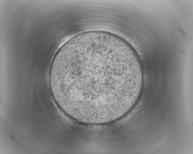 X0000115061521200912071141