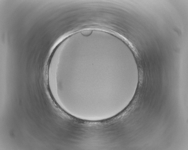 X0000115061522200912071141