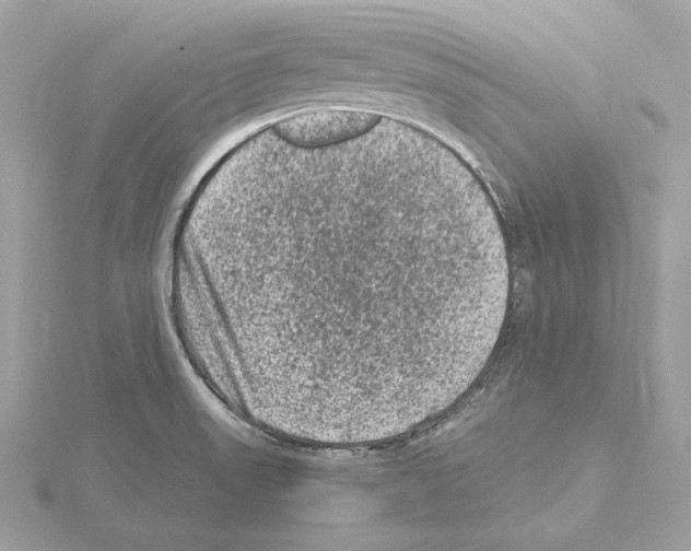 X0000115061523200912071141