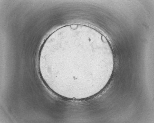 X0000115061525200912071141