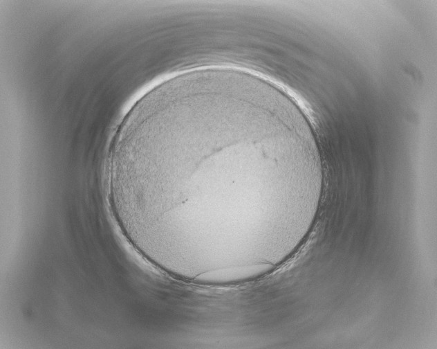 X0000115061526200912071141