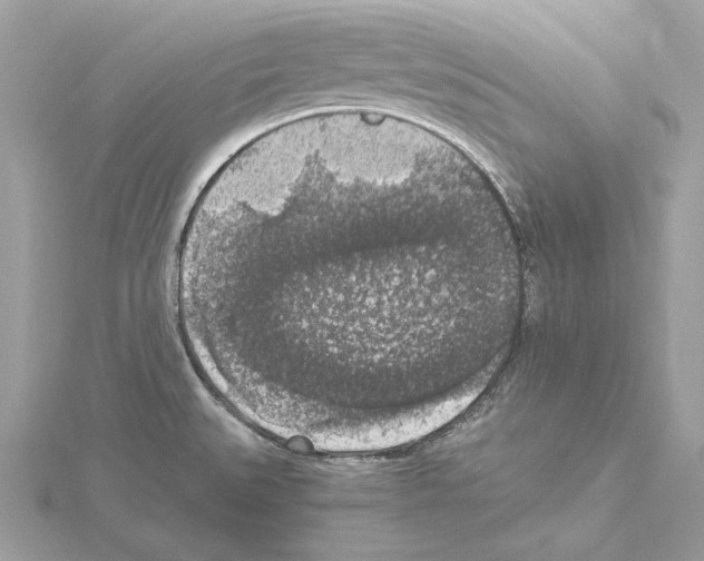 X0000115061527200912071141