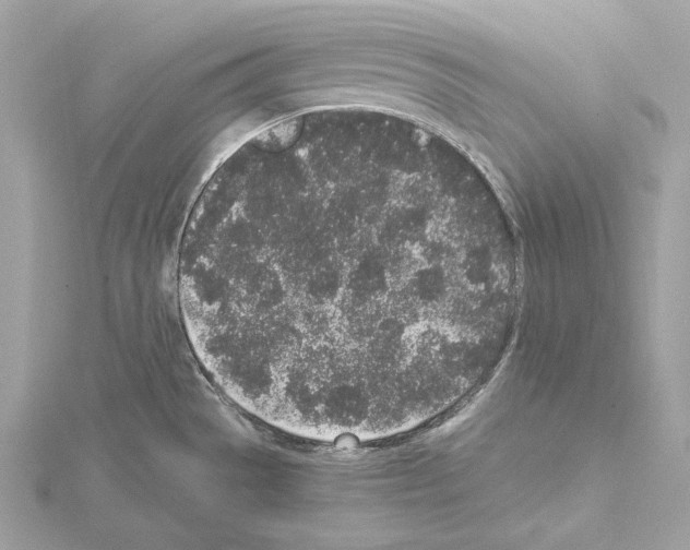 X0000115061529200912071141