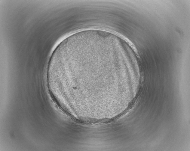 X0000115061530200912071141