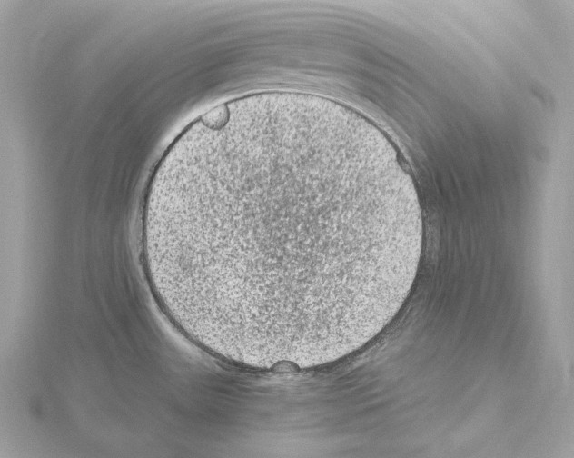 X0000115061531200912071141