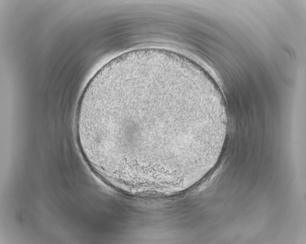 X0000115061533200912071141