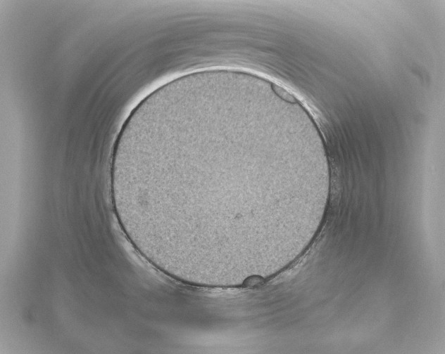 X0000115061534200912071141