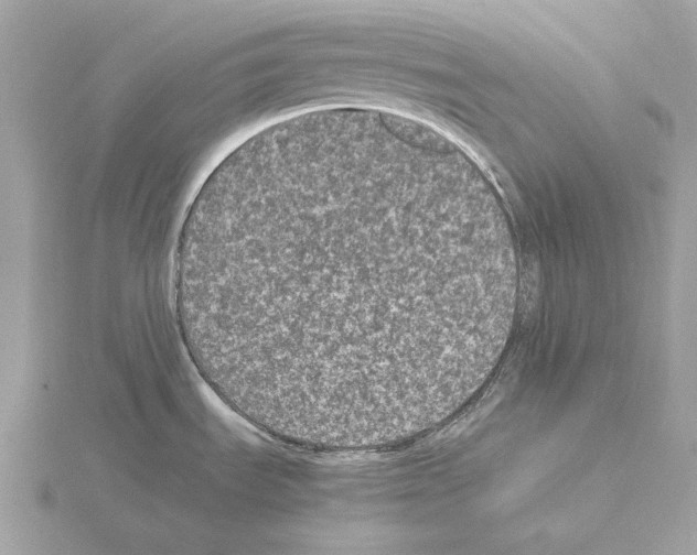 X0000115061535200912071141