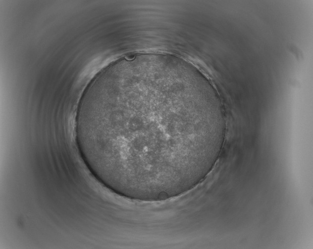 X0000115070002200911101312