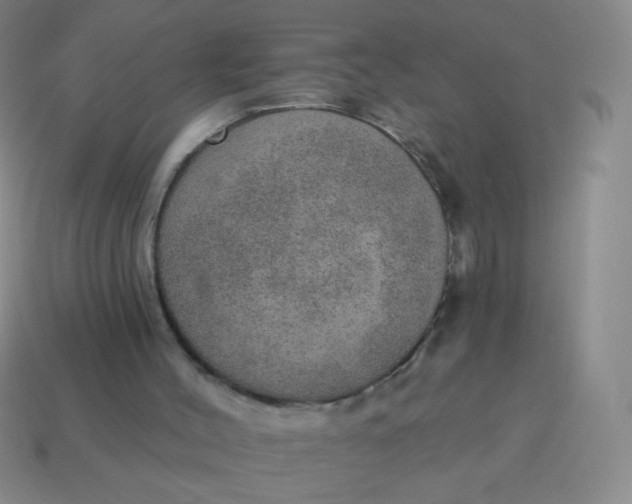X0000115070004200911101312