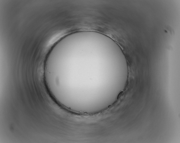 X0000115070005200911101312
