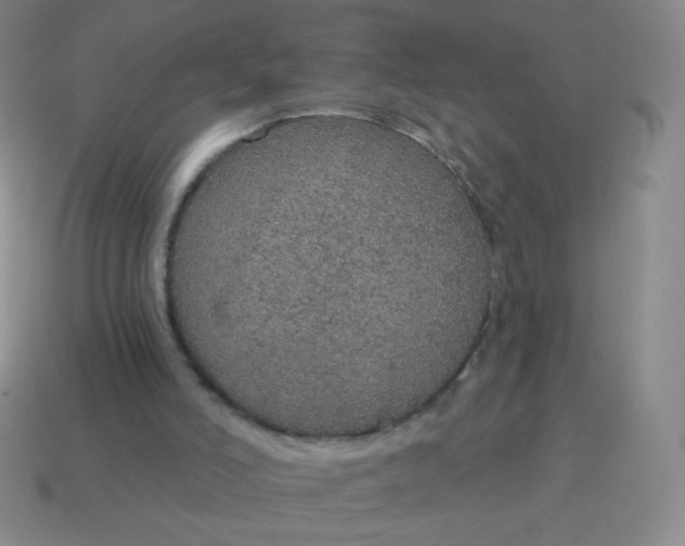 X0000115070006200911101312