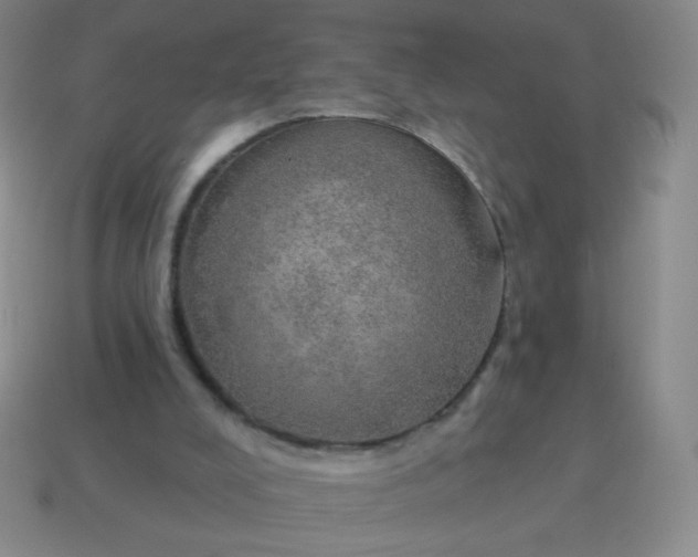 X0000115070008200911101312