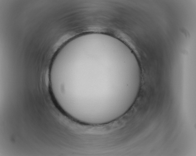 X0000115070011200911101312