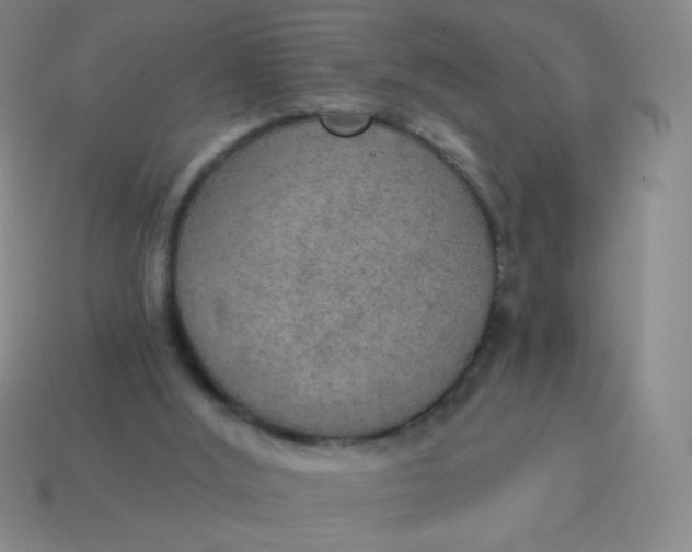 X0000115070012200911101312