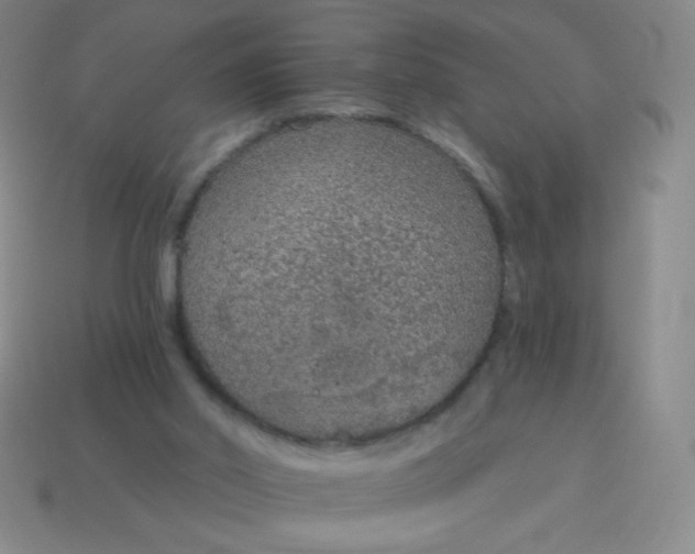 X0000115070014200911101312
